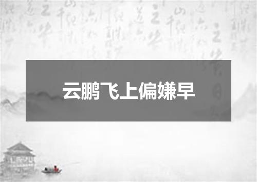 云鹏飞上偏嫌早
