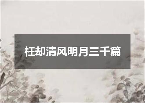 枉却清风明月三千篇