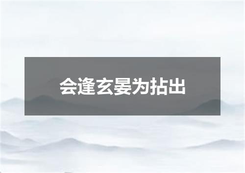 会逢玄晏为拈出