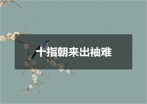 十指朝来出袖难