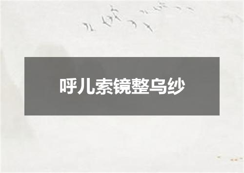 呼儿索镜整乌纱