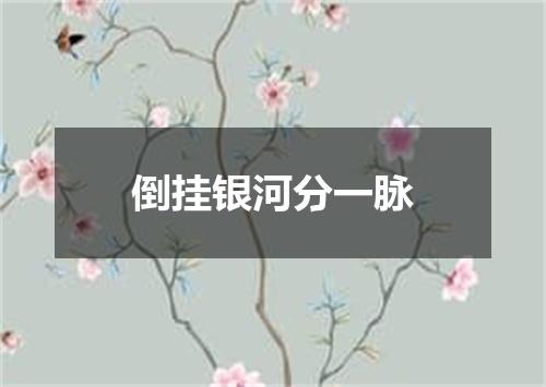 倒挂银河分一脉