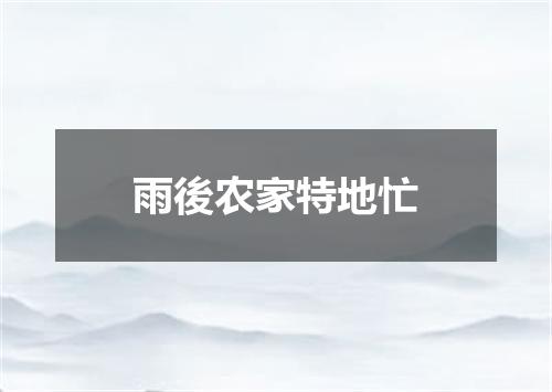 雨後农家特地忙