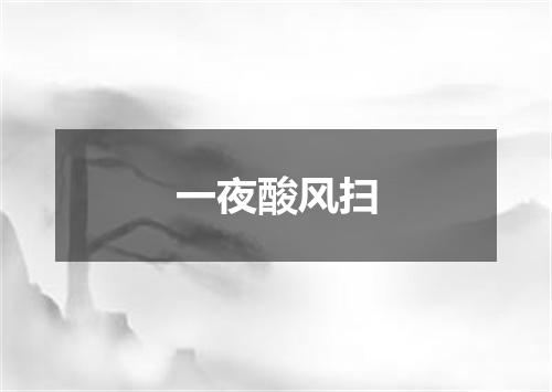 一夜酸风扫