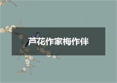 芦花作家梅作伴