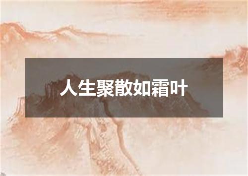 人生聚散如霜叶