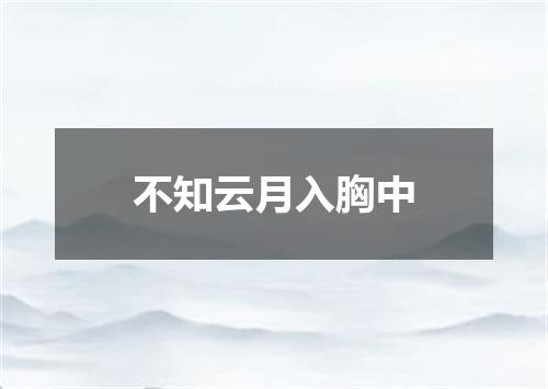不知云月入胸中