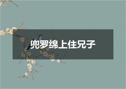 兜罗绵上住兄子