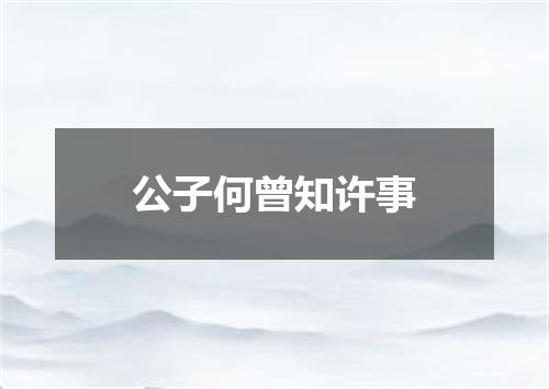 公子何曾知许事