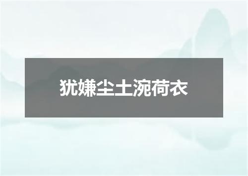 犹嫌尘土涴荷衣