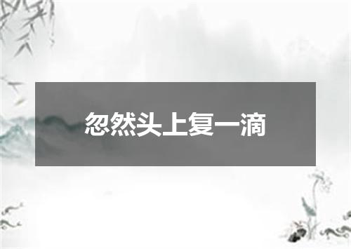 忽然头上复一滴