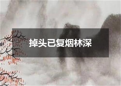 掉头已复烟林深