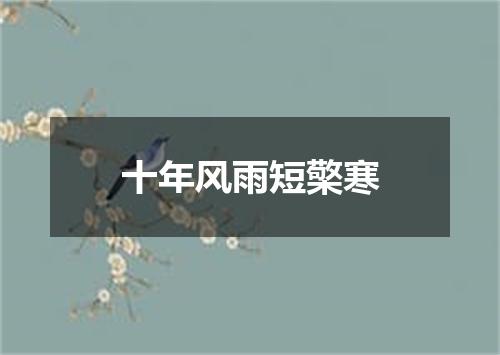 十年风雨短檠寒