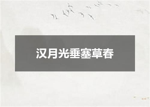 汉月光垂塞草春