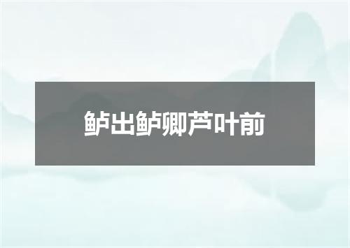 鲈出鲈卿芦叶前