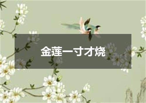 金莲一寸才烧