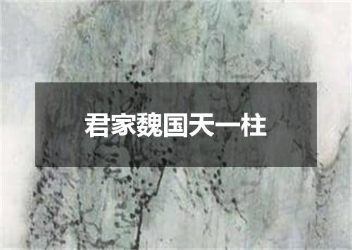 君家魏国天一柱