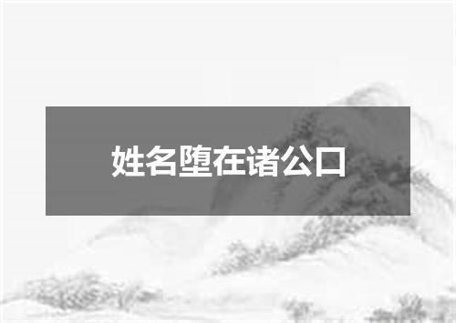 姓名堕在诸公口