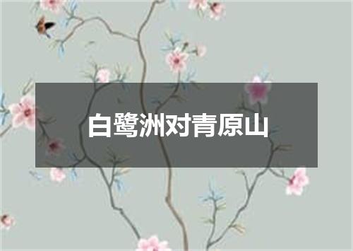 白鹭洲对青原山