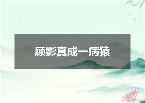 顾影真成一病猿