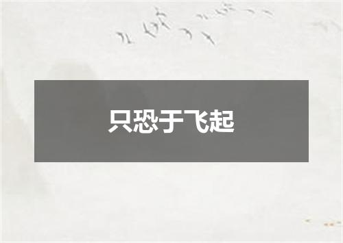 只恐于飞起