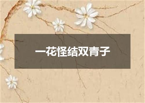 一花怪结双青子