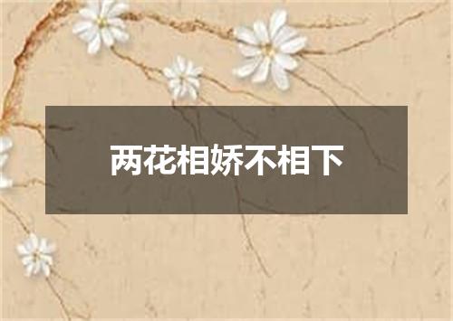 两花相娇不相下