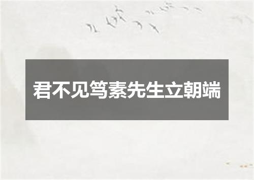 君不见笃素先生立朝端