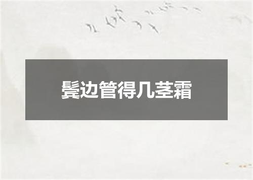 鬓边管得几茎霜
