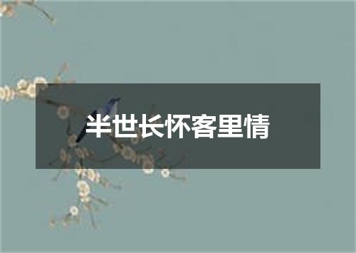 半世长怀客里情