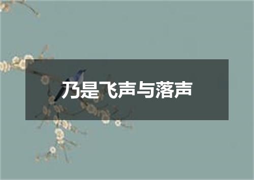 乃是飞声与落声