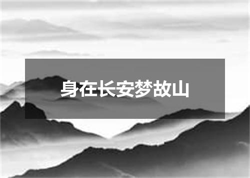 身在长安梦故山