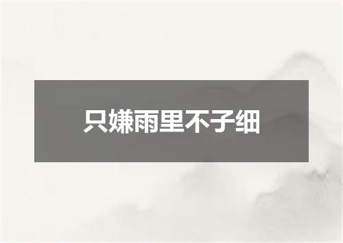 只嫌雨里不子细