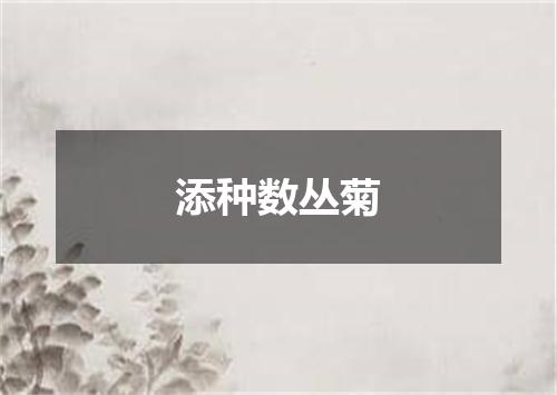 添种数丛菊