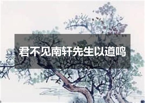 君不见南轩先生以道鸣