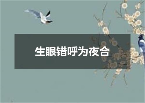 生眼错呼为夜合