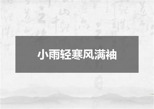 小雨轻寒风满袖