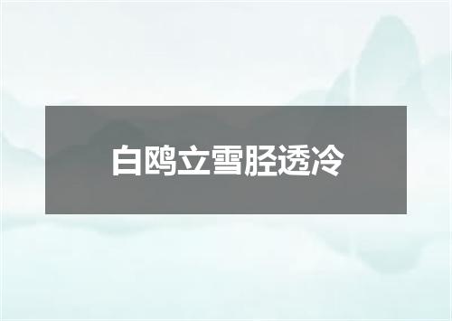 白鸥立雪胫透冷