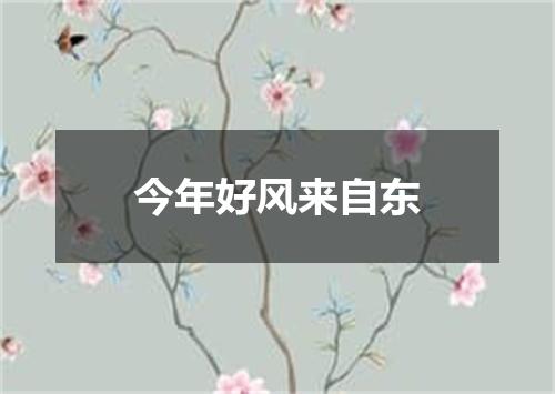 今年好风来自东