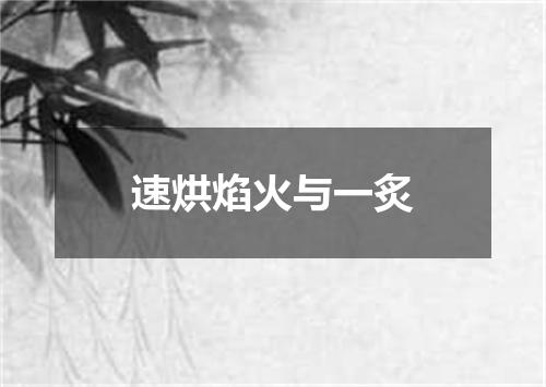 速烘焰火与一炙