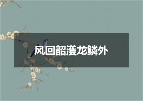 风回韶濩龙鳞外