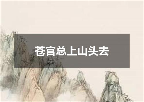 苍官总上山头去