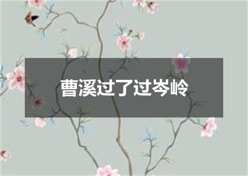 曹溪过了过岑岭