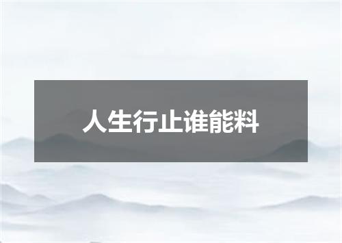 人生行止谁能料