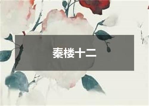 秦楼十二