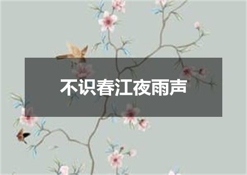 不识春江夜雨声