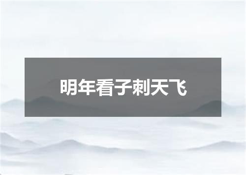 明年看子刺天飞