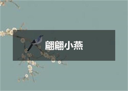 翩翩小燕