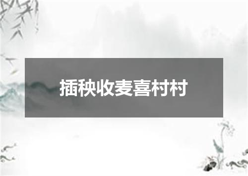 插秧收麦喜村村