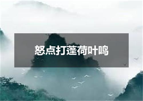 怒点打蓬荷叶鸣